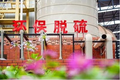 四川建园建材:以“园林式砖厂”引领行业趋势