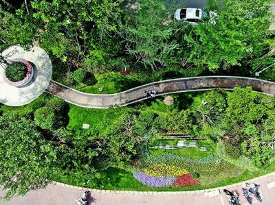 历下园林:以工匠精神提升城市园林养护水平