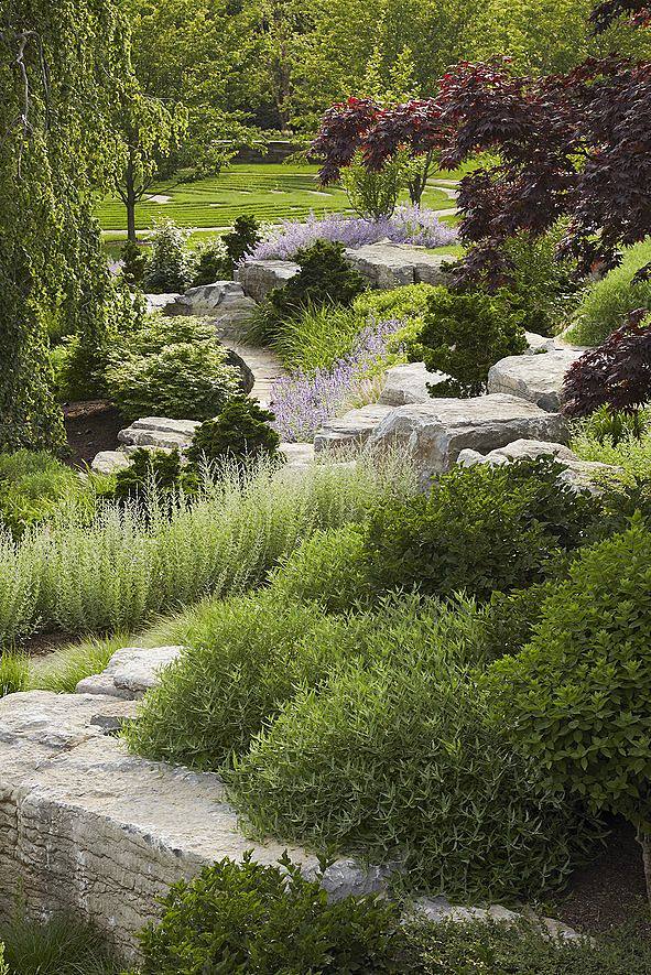 庭院植物造景设计意向图