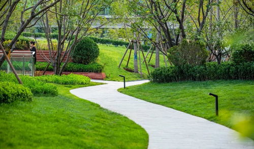 盘点2019 顺景园林精品项目回顾