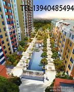 建筑园林设计 从理念到细节的完美融合