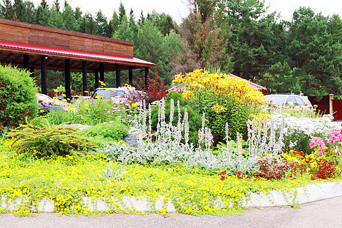 园林与风景图 设计中的视觉叙事与意境营造